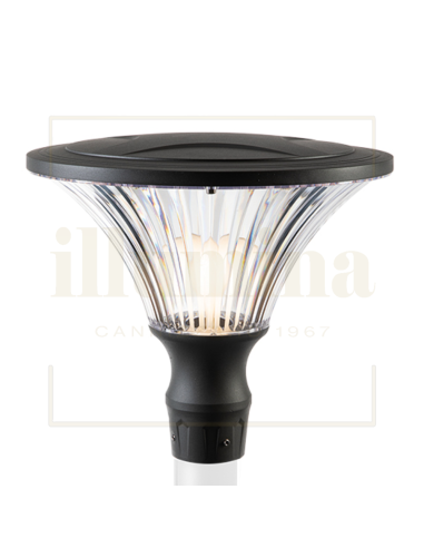 TESTAPALO SORIANO ANTRACITE