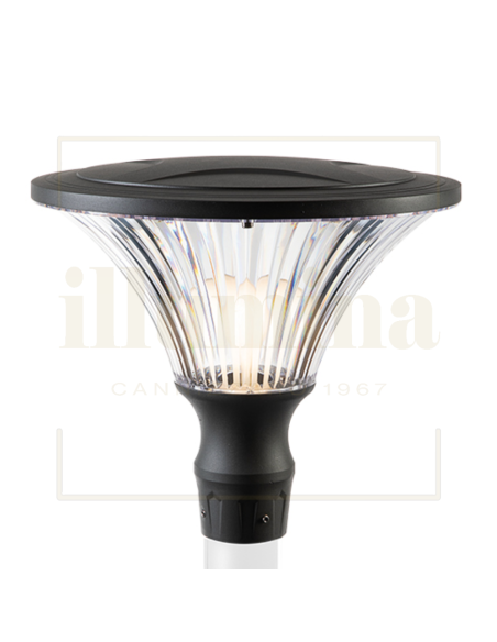 TESTAPALO SORIANO ANTRACITE