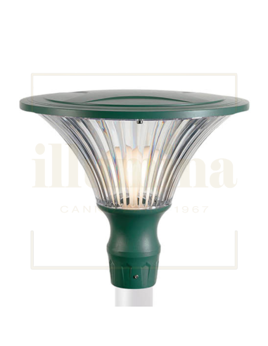 TESTAPALO SORIANO MUSCHIO