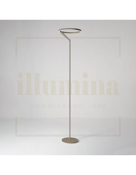 PIANTANA MERIDIANA SABBIA