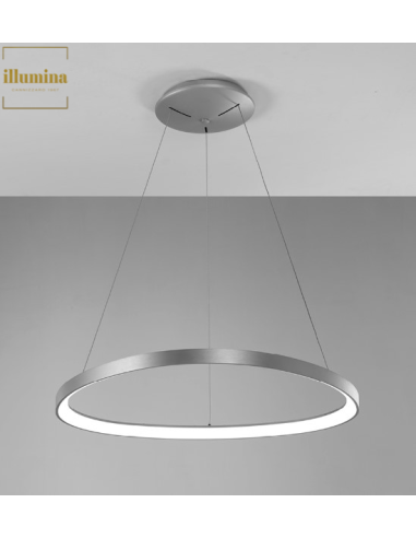 SOSPENSIONE LIFERING-P 81 TITANIO 60W