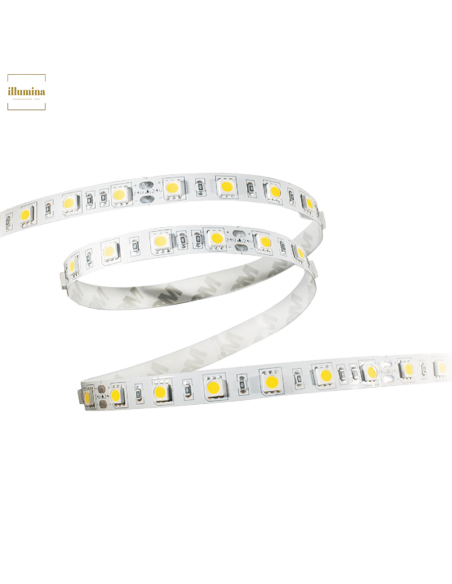 STRIP LED REEL5050 5MT IP 64 BIANCO FREDDO