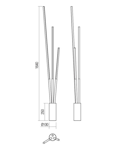 PIANTANA HERALD BIANCO
