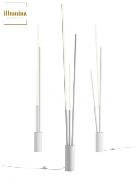 PIANTANA HERALD BIANCO