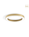 PLAFONIERA GLOBUS ORO 60CM 40W