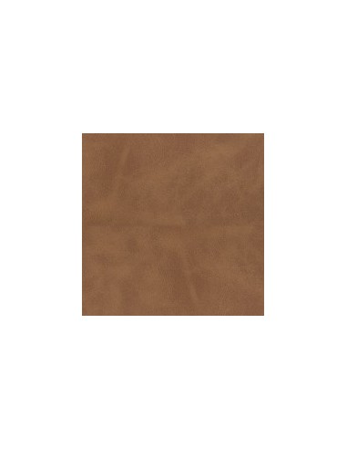 APPLIQUE PALM A 21 ECOPELLE 02 5W