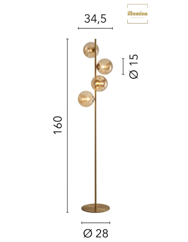 PIANTANA HONEY ORO E CHAMPAGNE 4XG9