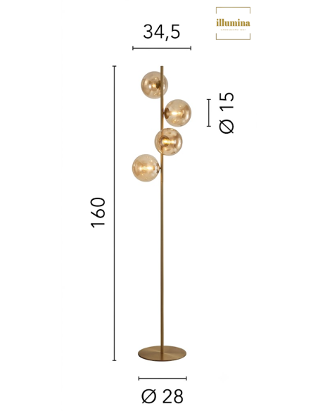PIANTANA HONEY ORO E CHAMPAGNE 4XG9