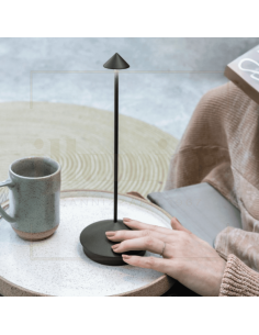 LAMPADA DA TAVOLO PINA GRIGIO SCURO 2