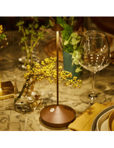 LAMPADA DA TAVOLO PINA CORTEN 2