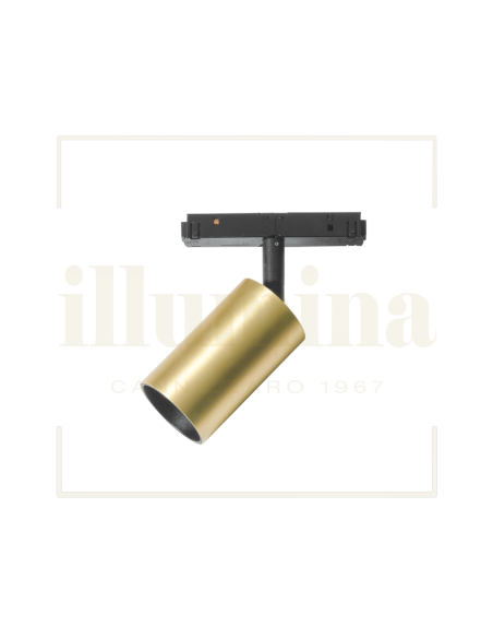 MINI SPOT MODENA SP/P ORO PER BINARIO